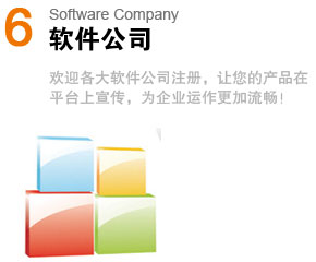 软件公司Software Company